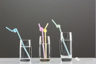 義烏文化用品協會參訪雙童 與樓仲平深度探討企業品牌建設與工藝品推廣傳播